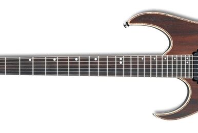 RG721MFMA | Ibanez Wiki | Fandom