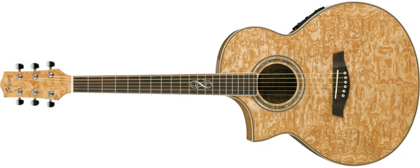 EW20LASE | Ibanez Wiki | Fandom