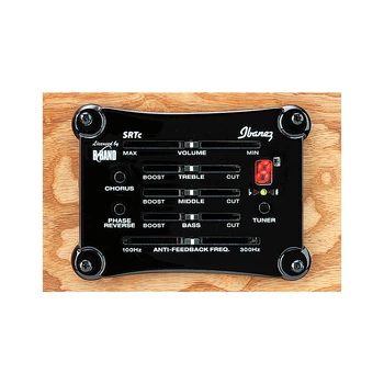 2011 Ibanez SRTc preamp