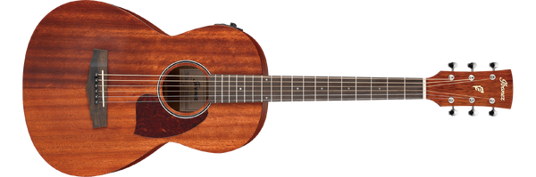 PN12MHE | Ibanez Wiki | Fandom