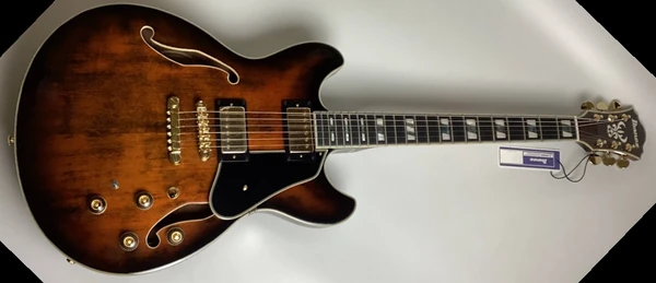 AS113B | Ibanez Wiki | Fandom