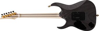 Ibanez RGのネックを買ってはみたが… | ギターいじりは楽しい！