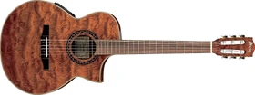 2008 EWN28BGE-NT