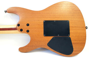 S570WN | Ibanez Wiki | Fandom