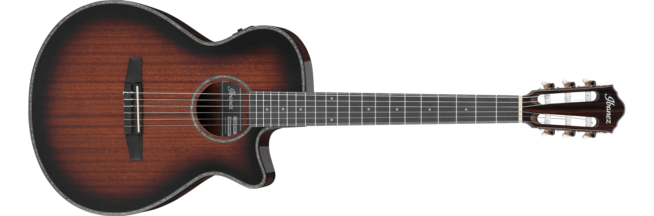 AEG74N | Ibanez Wiki | Fandom