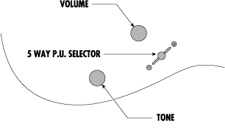 RG2077XL | Ibanez Wiki | Fandom