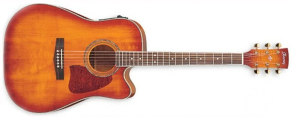 AW200ECE | Ibanez Wiki | Fandom