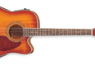 AW200 (2000–2006) | Ibanez Wiki | Fandom
