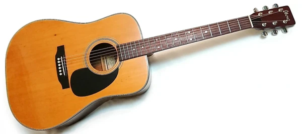 T300 | Ibanez Wiki | Fandom