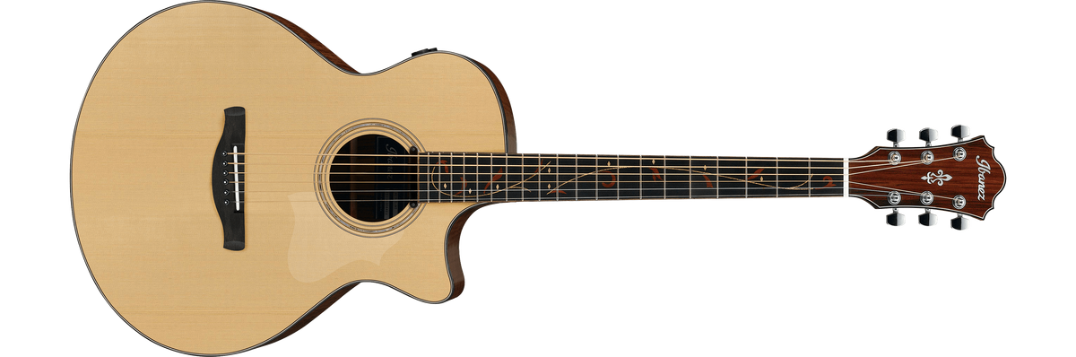 AE275BT Ibanez Wiki Fandom