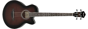 AEB10E | Ibanez Wiki | Fandom