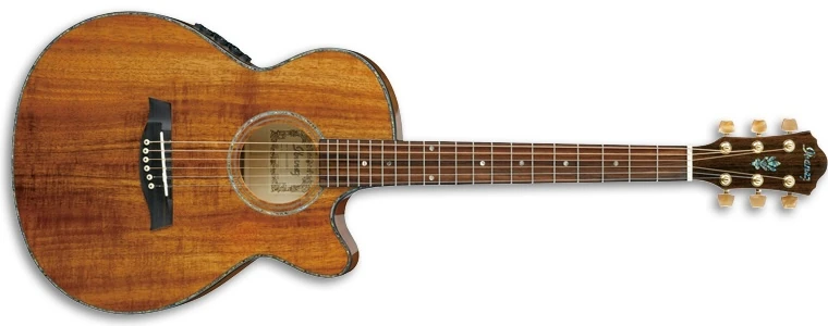 AEG60EKO | Ibanez Wiki | Fandom