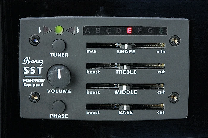 AEL30SE | Ibanez Wiki | Fandom