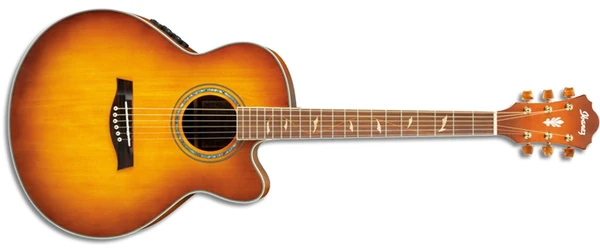 AEL42SE | Ibanez Wiki | Fandom