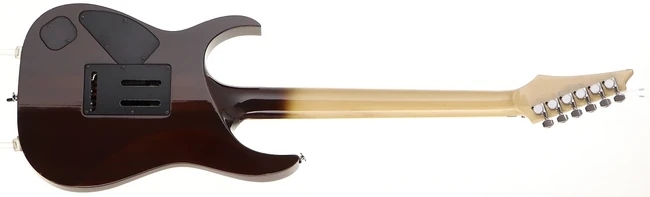 RGT3170 | Ibanez Wiki | Fandom