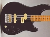 RS824