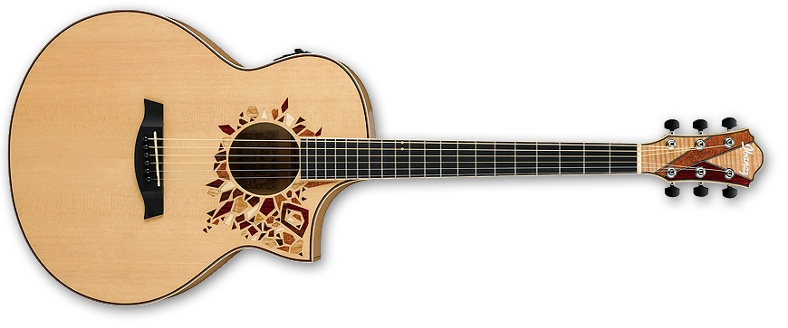 AEW15LTD1 | Ibanez Wiki | Fandom