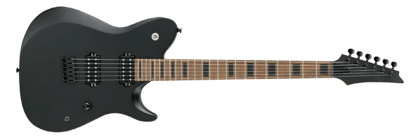 Ibanez ブラック エレキギター FR800 | Ibanez Wiki | Fandom