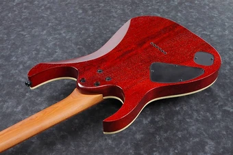 RG421HPAM | Ibanez Wiki | Fandom