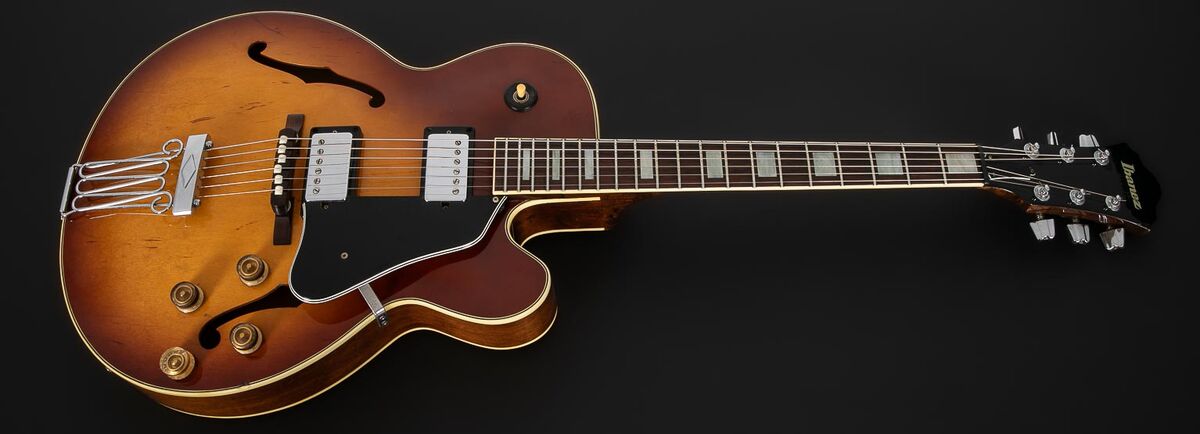 FG100 | Ibanez Wiki | Fandom
