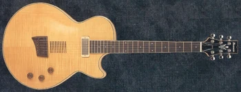AE200 | Ibanez Wiki | Fandom