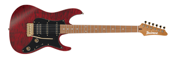 SLM10 | Ibanez Wiki | Fandom