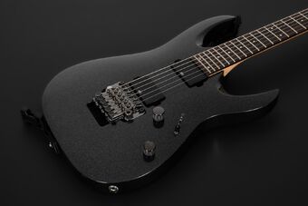 RGA220Z | Ibanez Wiki | Fandom