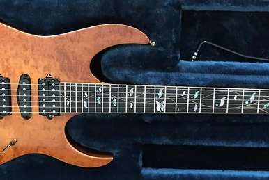 RG8270F | Ibanez Wiki | Fandom