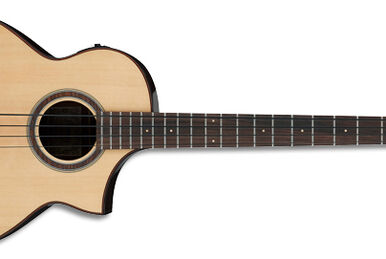 AEW21VK | Ibanez Wiki | Fandom