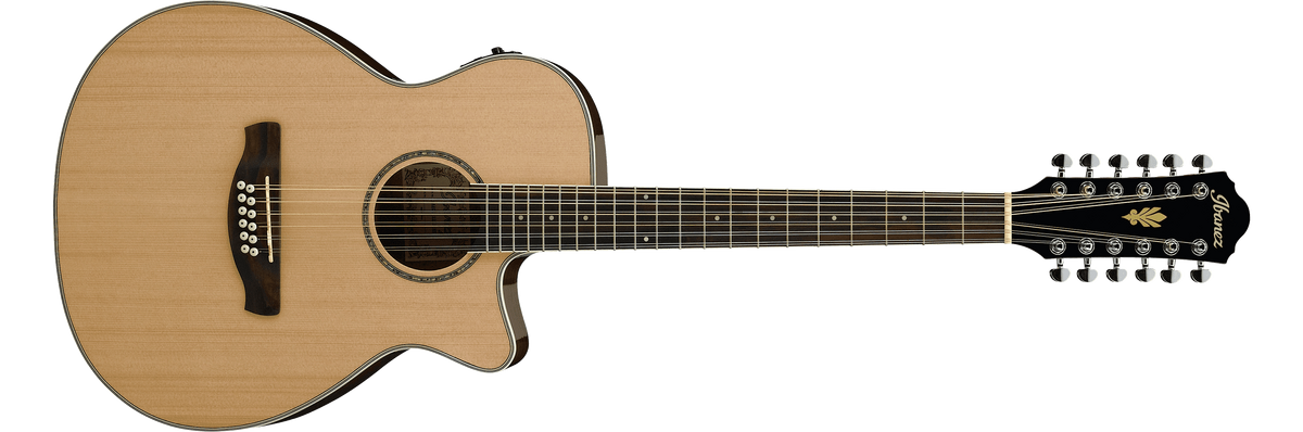 AEG1812 Ibanez Wiki Fandom