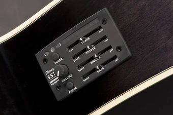 AEL30SE | Ibanez Wiki | Fandom