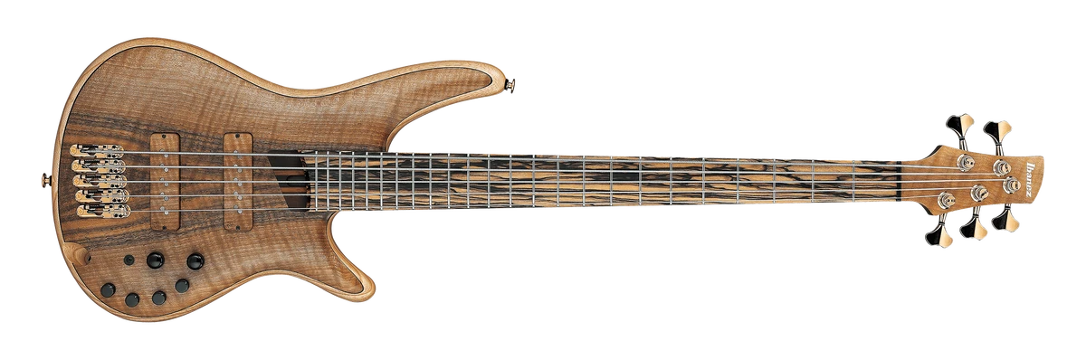 IV1SR | Ibanez Wiki | Fandom