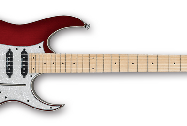 RG2570ZA | Ibanez Wiki | Fandom