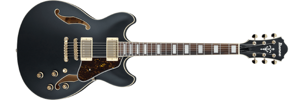 Ibanez as73g ivory hot sale