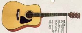 Ibanez AW-20 Art Wood Series ギター 大鳴り IBANEZ AW20 acoustic guitars