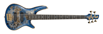 Sr2605 ibanez hot sale
