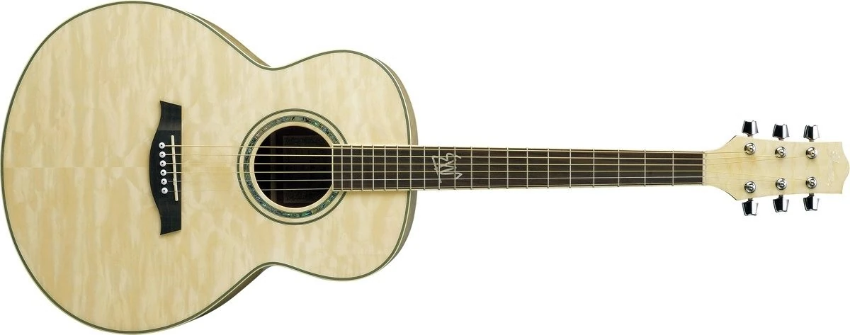 Ibanez　アコースティックギター　ＥＷ20ＱＭ EW20QM | Ibanez Wiki | Fandom