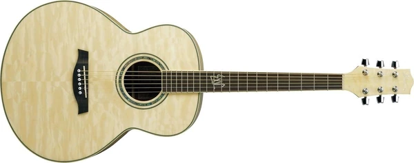 EW20QM | Ibanez Wiki | Fandom