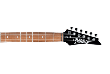 RG270SE | Ibanez Wiki | Fandom