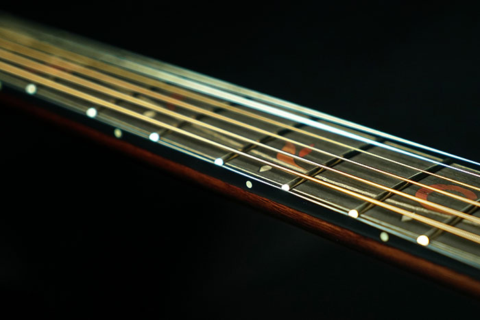 AE325 | Ibanez Wiki | Fandom AE325 | Ibanez Wiki | Fandom