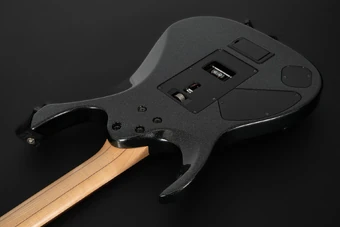RGA220Z | Ibanez Wiki | Fandom