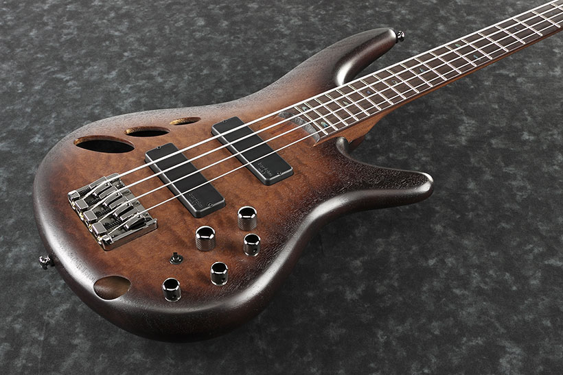 SR30th4 Ibanez Wiki Fandom