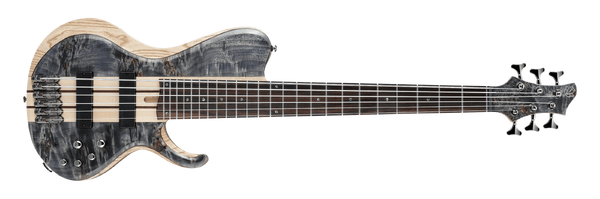 BTB846SC | Ibanez Wiki | Fandom