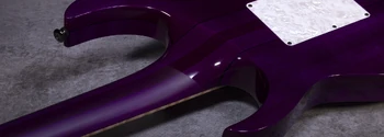 LACS11 neck