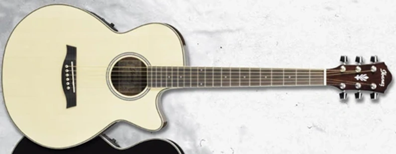 Ibanez　エレアコ AEG9E TRS　■ジャンク AEG9E | Ibanez Wiki | Fandom