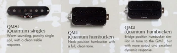 1994 Quantum pickups
