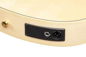 2025 GA39TCE-NTF Output jack