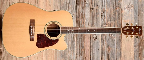 AW100CE (1998–2003) | Ibanez Wiki | Fandom