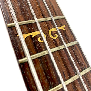SR1000EZW inlay