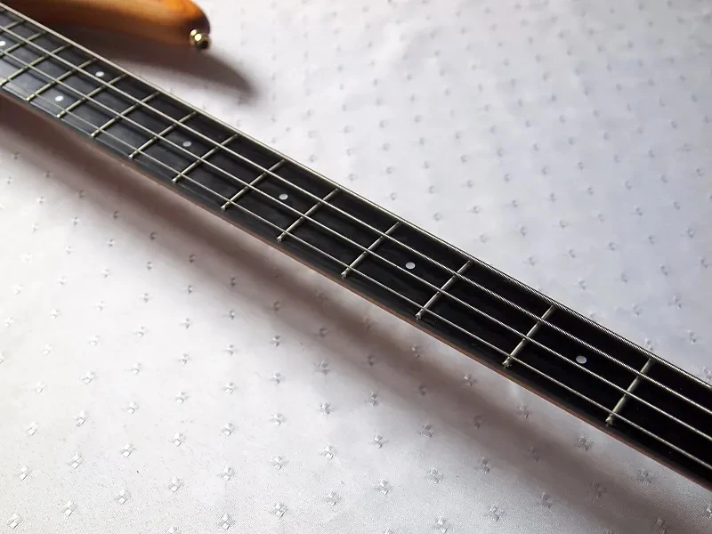 SR1100E | Ibanez Wiki | Fandom